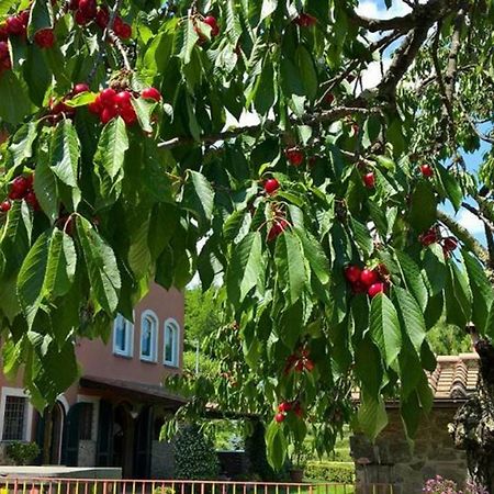 Podere Gianpaolo Пешя Екстер'єр фото