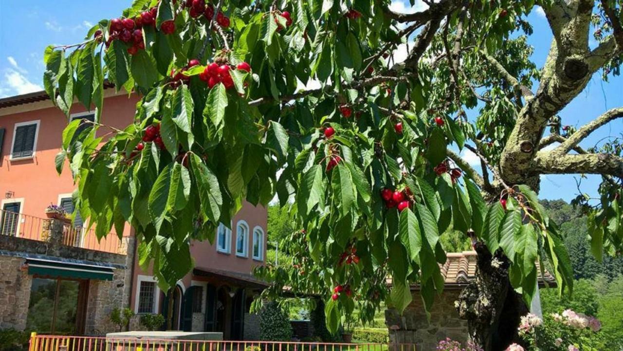 Podere Gianpaolo Пешя Екстер'єр фото